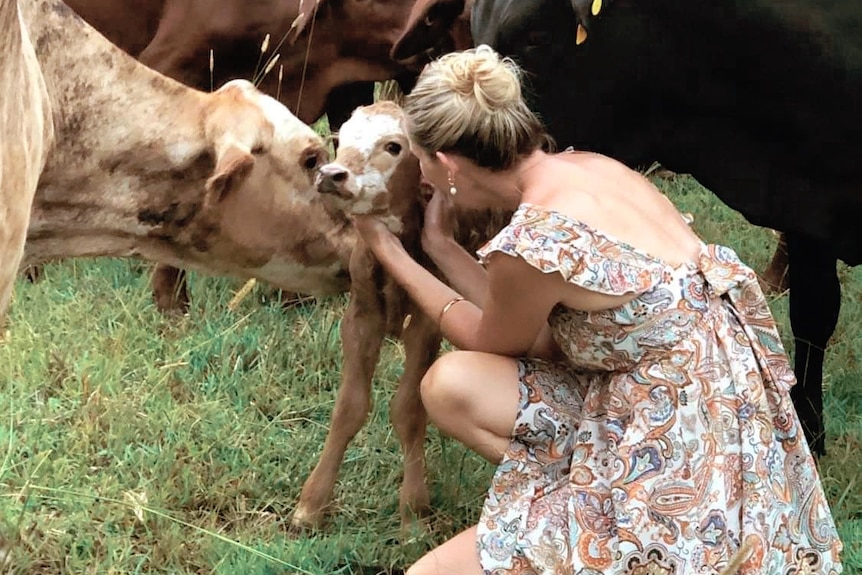 Alison Russell tenderly touches a calf near its neck