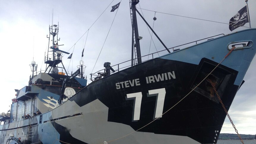 Steve Irwin at Victor Harbor