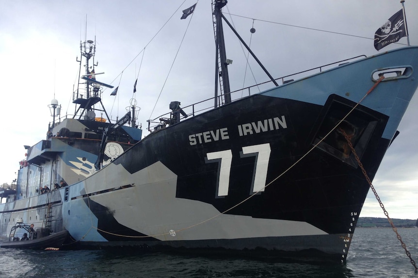 Steve Irwin at Victor Harbor