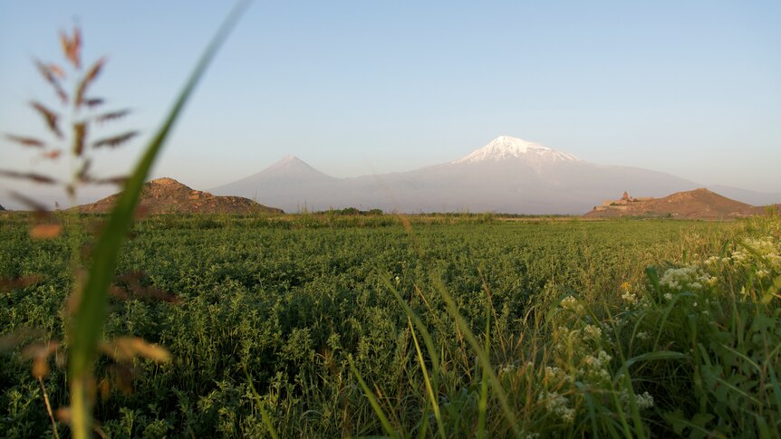 Ararat Plain Armenia © Vyacheslav Argenberg 