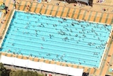 Aerial photograph of a pool with lots of people in it.