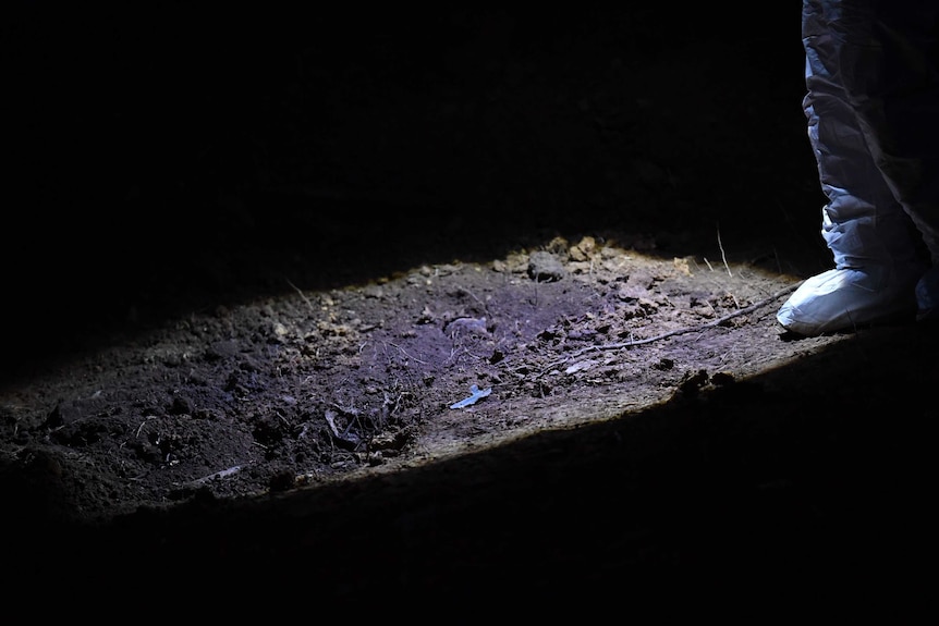 Forensics officer stands at side where remains found