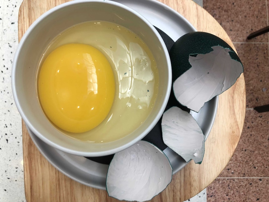 An emu egg is cracked into a bowl.