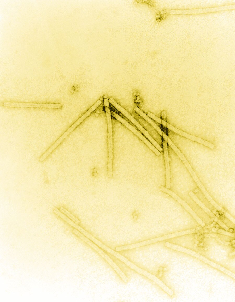 Virus 103 - ABC listen