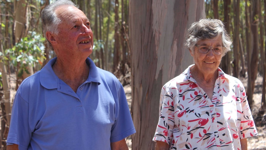 Jim and Kay Whittem at their property in Napier