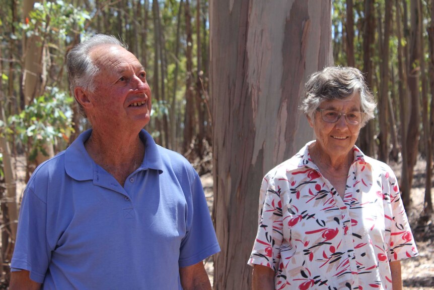 Jim and Kay Whittem at their property in Napier