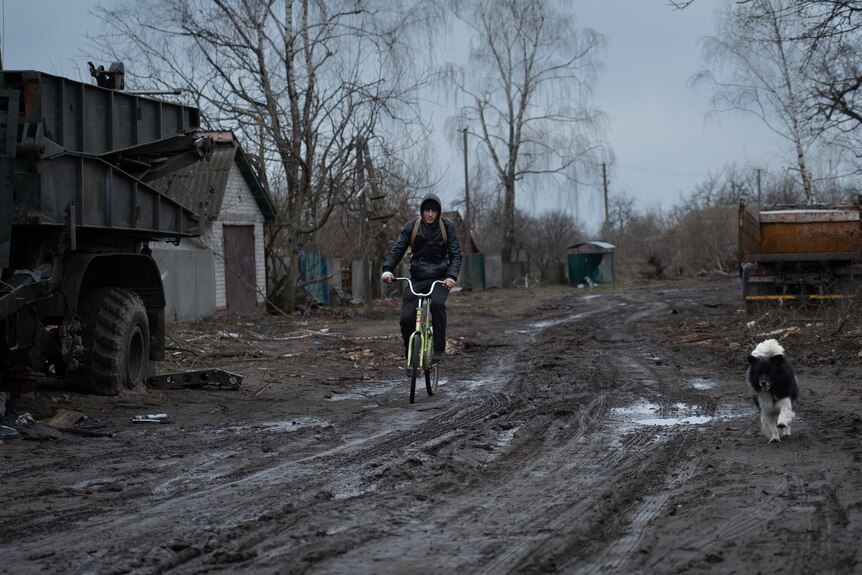 A man rides a bike through a muddy street, past a dog and an armoured vehicle