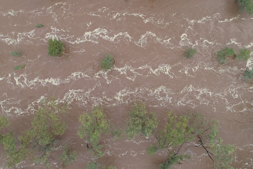 aerial drone shot of brown river flowing, lined with trees