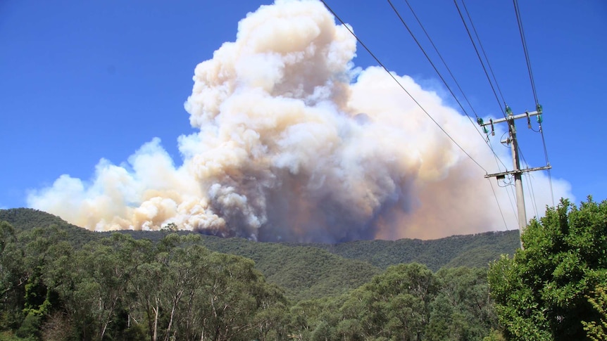 Smoke rises from a bushfire on Mt Feathertop.