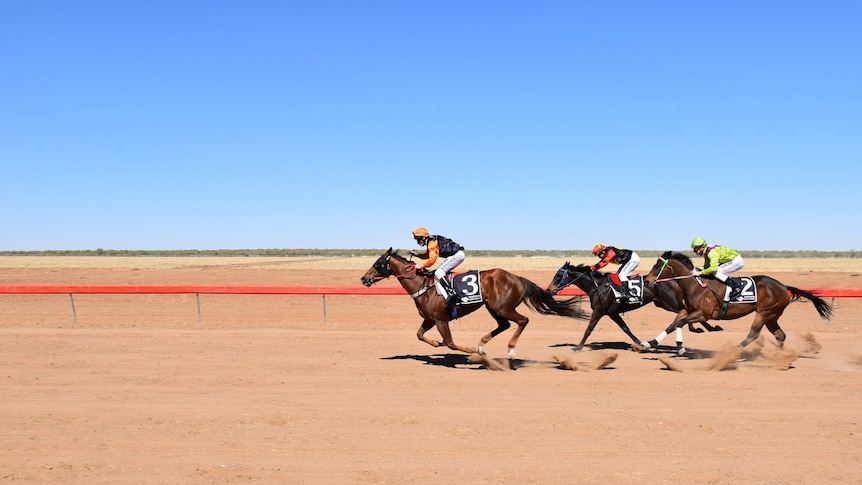Three horses with jockeys on their backs thundering down an outback race track.