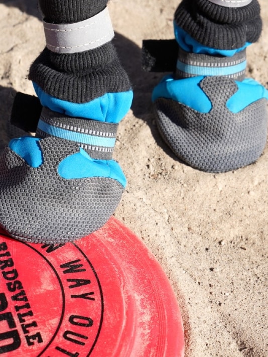 A pair of dog paws in boots stand on a red frisbee.