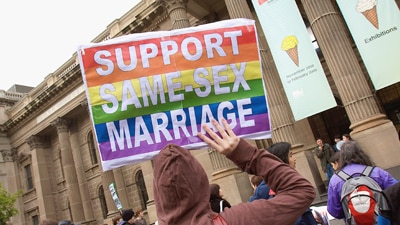 Rally in support of gay marriage rights (Getty Images: Luis Ascui)
