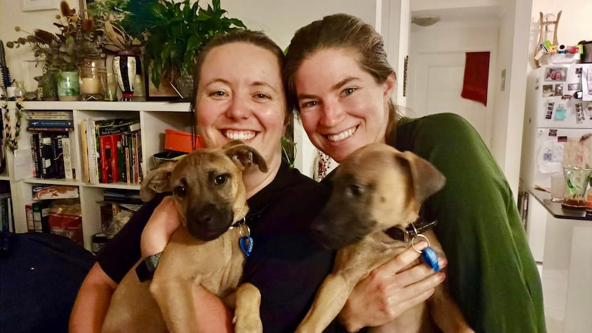 Holly Creenaune and Randi Irwin with their foster dogs Daphne and Dinkley, in story about fostering pets.