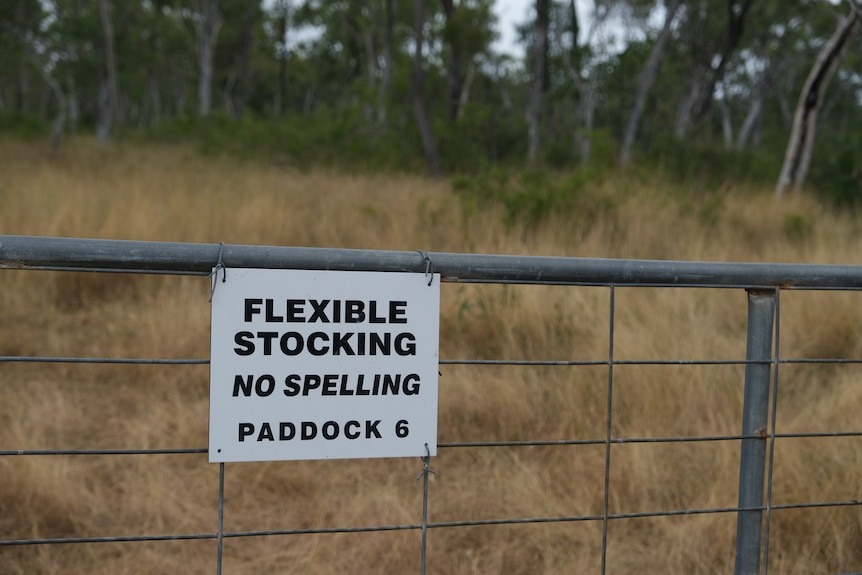 Sign on fence that says 'flexible stocking, no spelling, paddock 6'