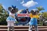 Two people in giant koala costumes stand waving their arms in front of a globe that reads "Dreamworld".