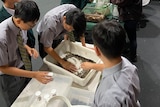 三个年轻的男学生在做一个科学项目