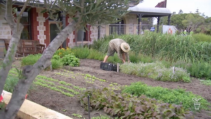 Man planting in outdoor garden bed filled with furrows