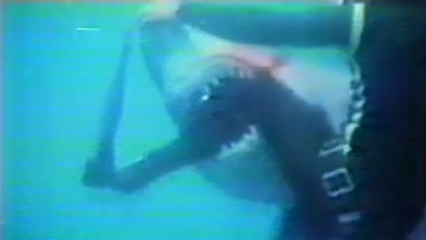 Henri Bource attacked by shark