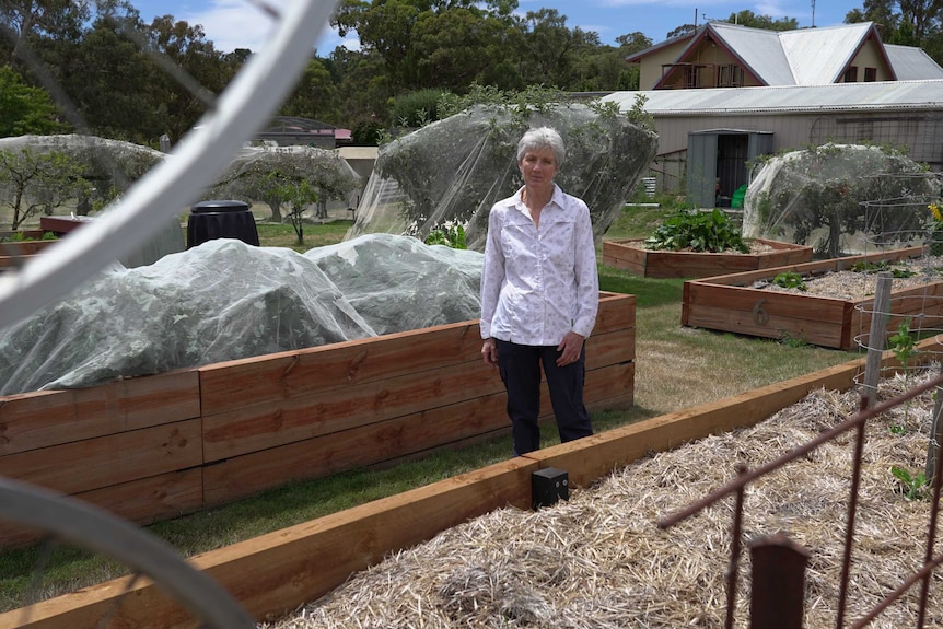 A woman wearing a white shirt among garden beds.