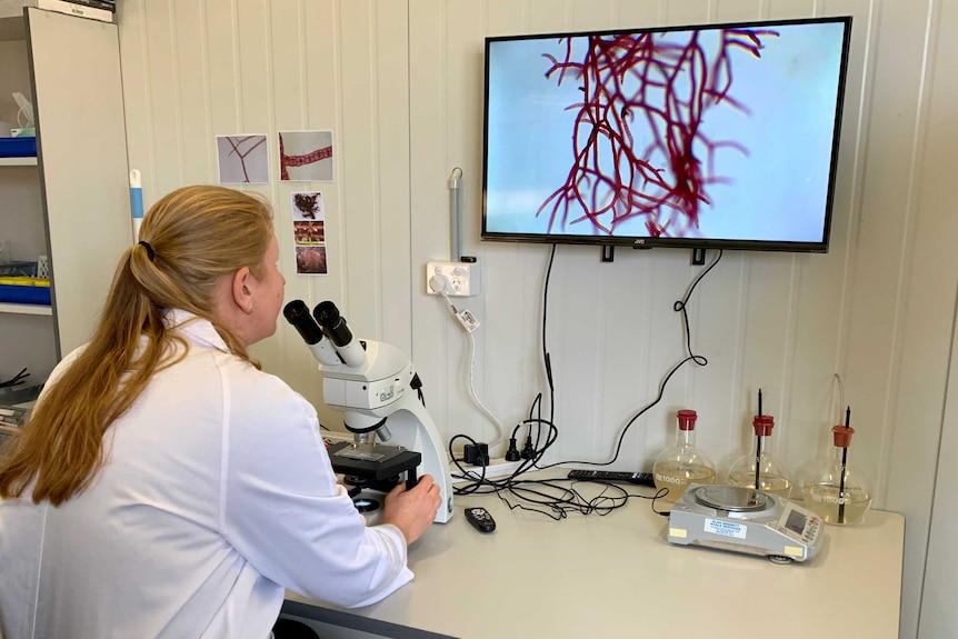 Woman in lab coat with microscope and screen on wall showing up-close projection of asparagposis