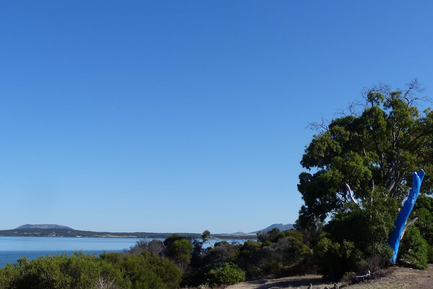 A row of trees in front of the sea