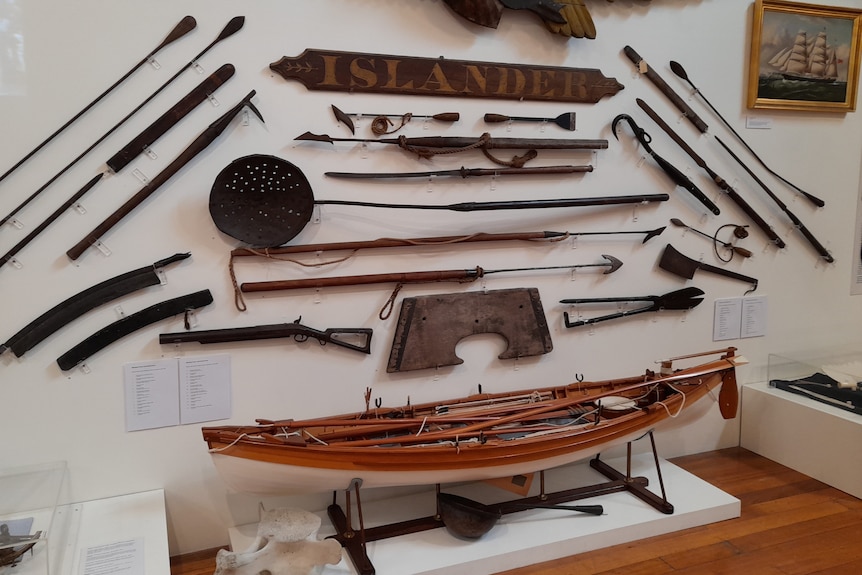 Museum display on board of spear-like tools, model boat on white wall