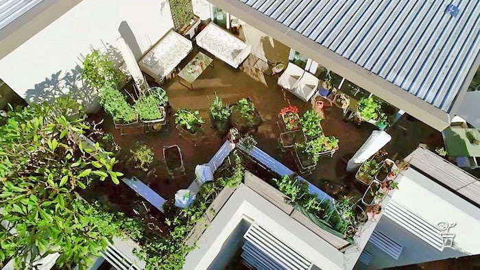 Aerial view of a balcony filled with plants in pots and growing beds