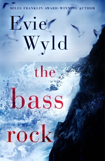 Book cover of The Bass Rock by Evie Wyld, waves crashing on a dark rock, seagulls flying
