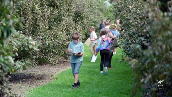Children walking through a pear orchard with activity sheets on clipboards