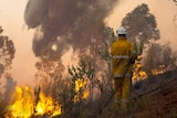 Bushfire at Avon Valley
