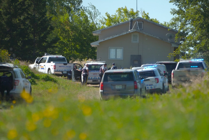 A number of vehicles, including police vehicles, surround a house nestled among trees and high grass.