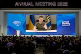 APN Zelenskyy Davos Forum 1