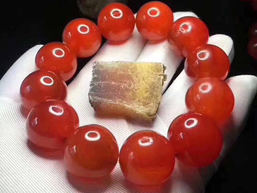 A bracelet of elephant blood beads being held on a white gloved-hand