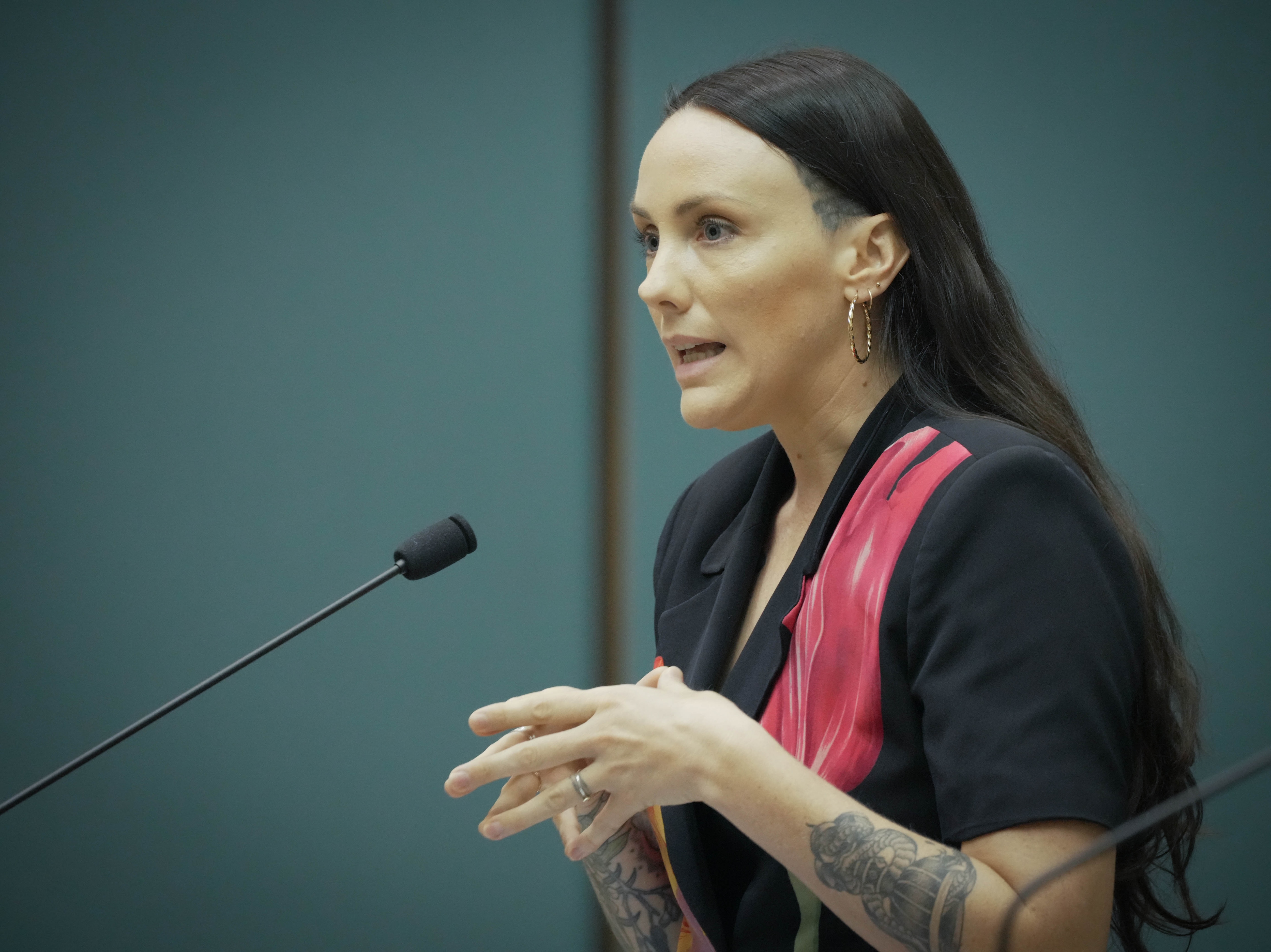 Una persona, blanca, vestida con una chaqueta negra con una flor rosa, cabello largo y aros dorados, habla en el Parlamento.