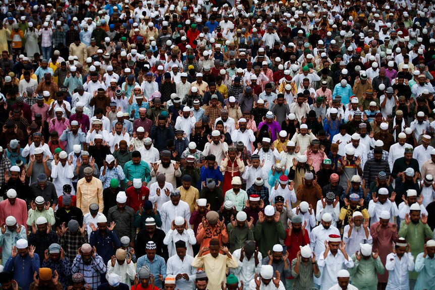 A large crowd of Muslim men, many wearing religious headware, look in the same direction as they pray.