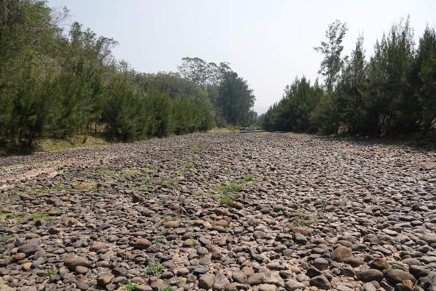 A dry riverbed, full of stones, surrounded by green trees.