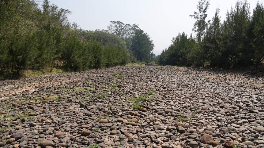 A dry riverbed, full of stones, surrounded by green trees.