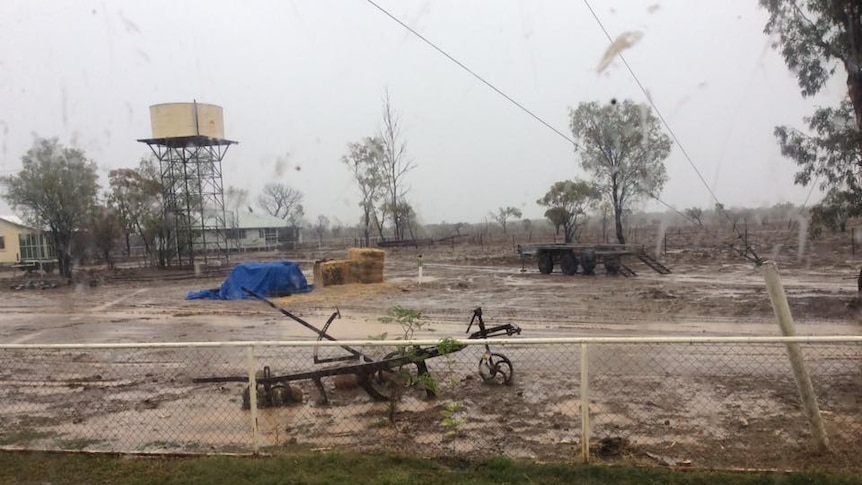 Rain falls at Lorne, south of Blackall in Queensland.