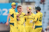 An Australian spinner reaches out to high five a teammate as they gather after a wicket.