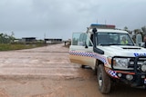 Police car near pineapple farm