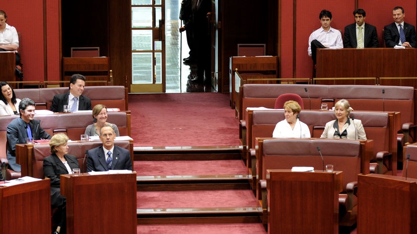 Liberal senators Judith Troeth and Susan Boyce