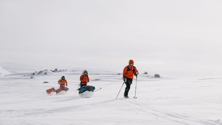 Three people sking pulling sleds and wearing bright red jackets.