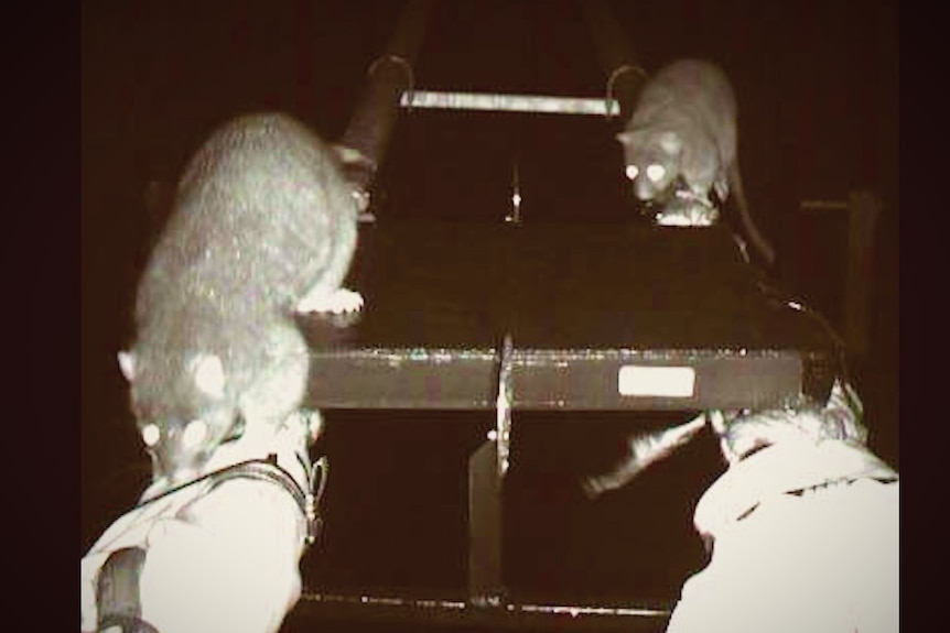 CCTV of possums using fauna bridge