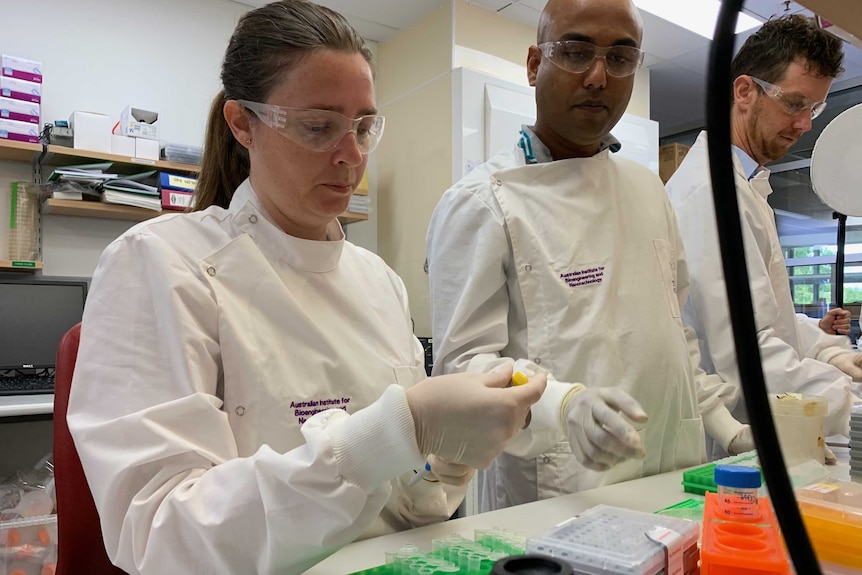 Queensland researchers are one of three teams around the world working on a coronavirus vaccine.