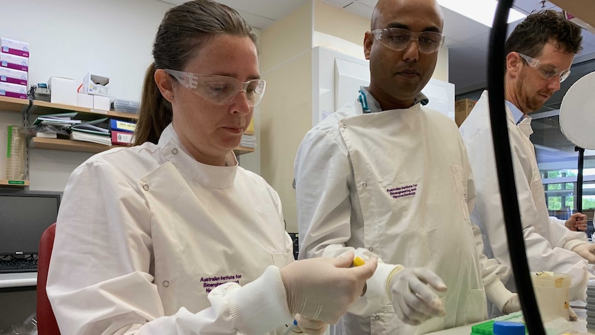 Scientists in white lab coats look at samples on a desk.