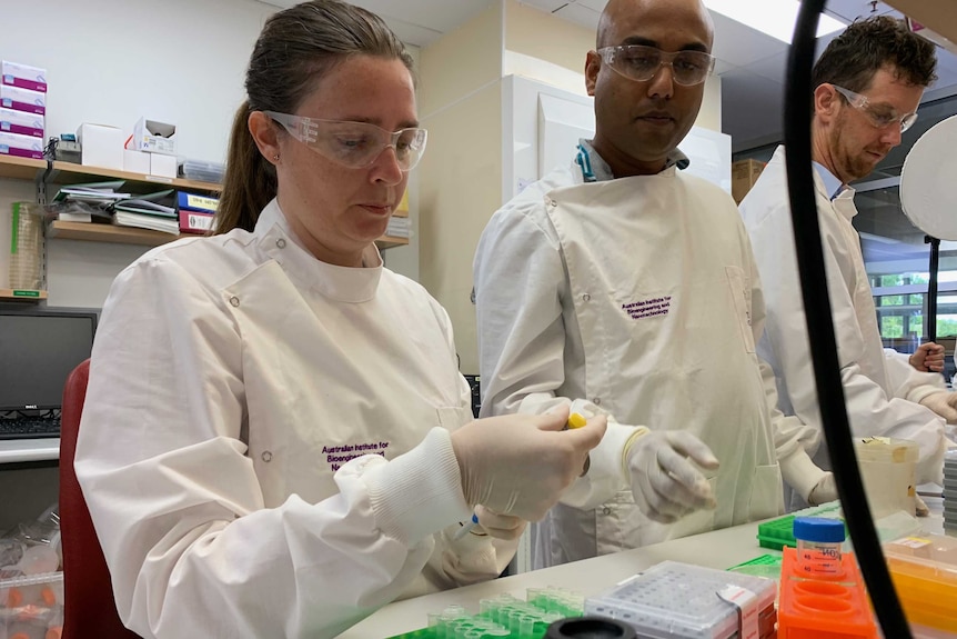 Scientists in white lab coats look at samples on a desk.