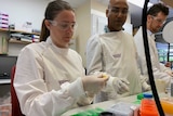 Scientists in white lab coats look at samples on a desk.