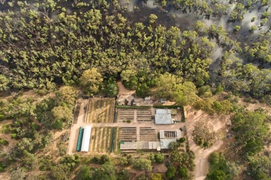 A birds eye view of the nursery site during the summer floods