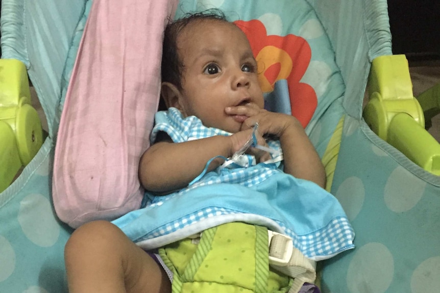 Five-month-old Hirashmi