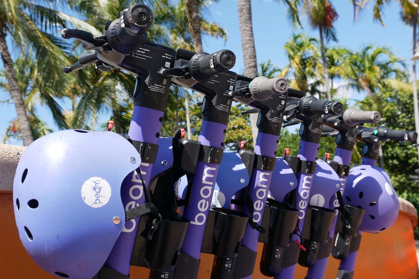 Purple e-scooters lined up in front of palm trees with helmets.